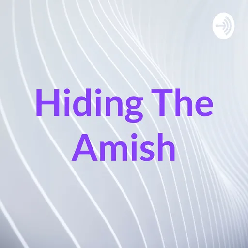 Hiding The Amish Artwork