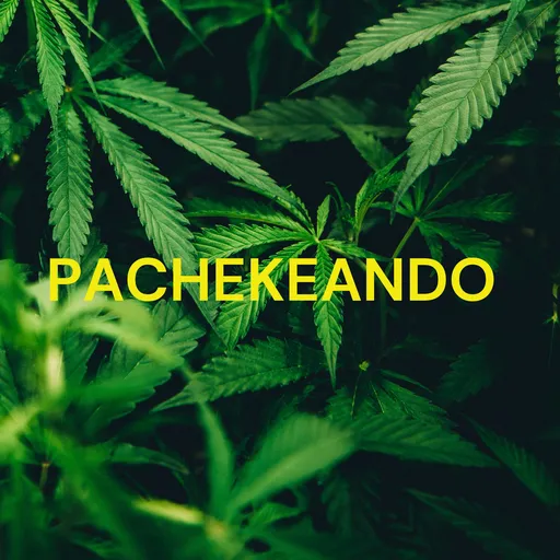 PACHEKEANDO Artwork