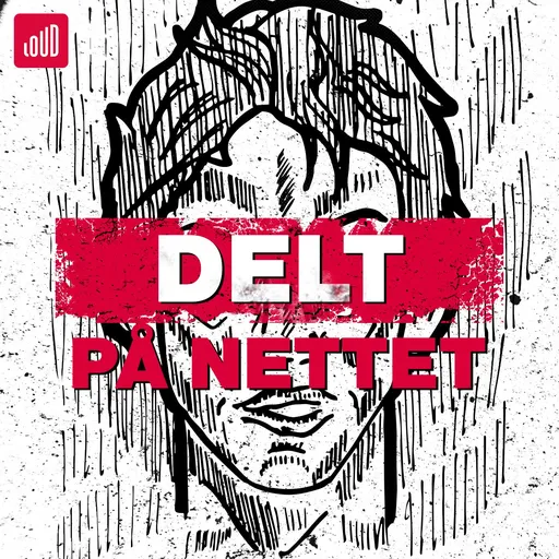 Delt på Nettet Artwork