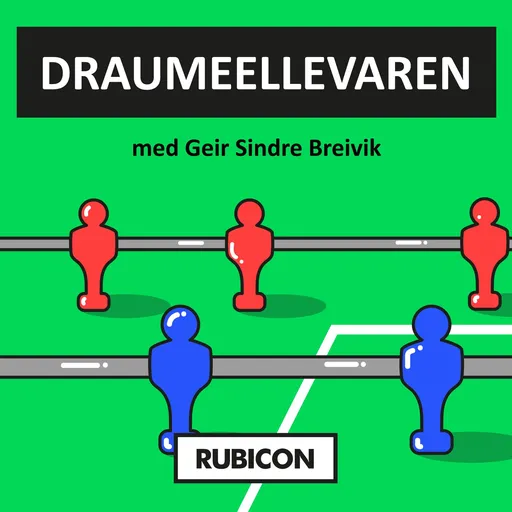 Draumeellevaren Artwork