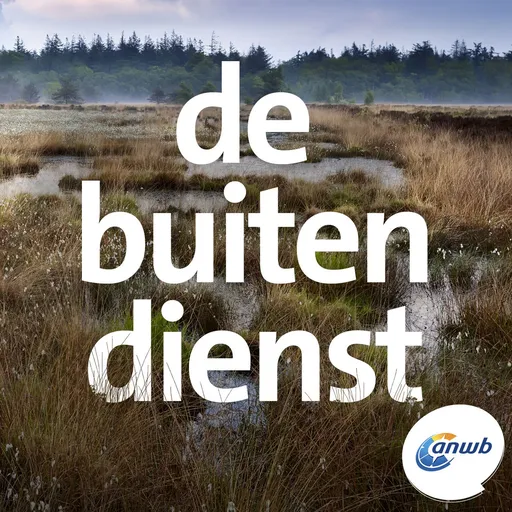 De Buitendienst Artwork