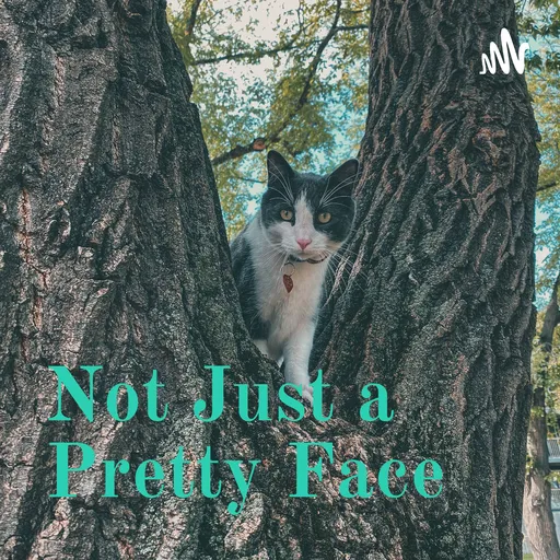 Not Just a Pretty Face Artwork