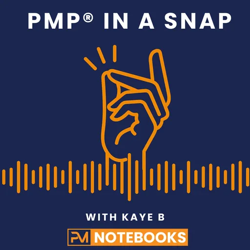 PMP In A Snap Artwork