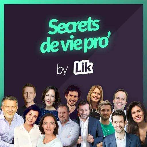 Lik - Secrets de vie pro' Artwork