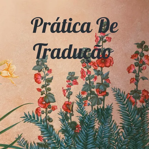 Prática De Tradução Artwork