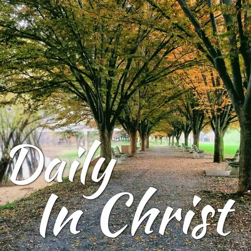 Daily In Christ Artwork