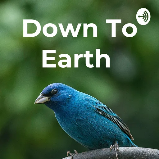 Down To Earth Artwork