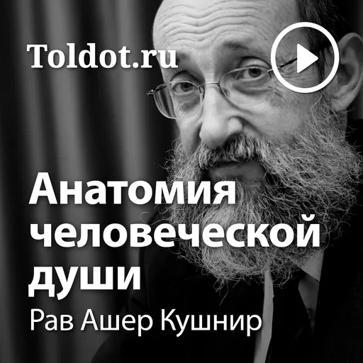 Рав Ашер Кушнир  — Анатомия человеческой души Artwork