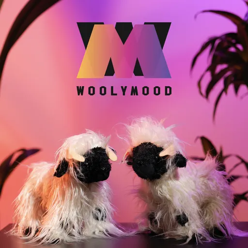 Woolymood Attitude Artwork