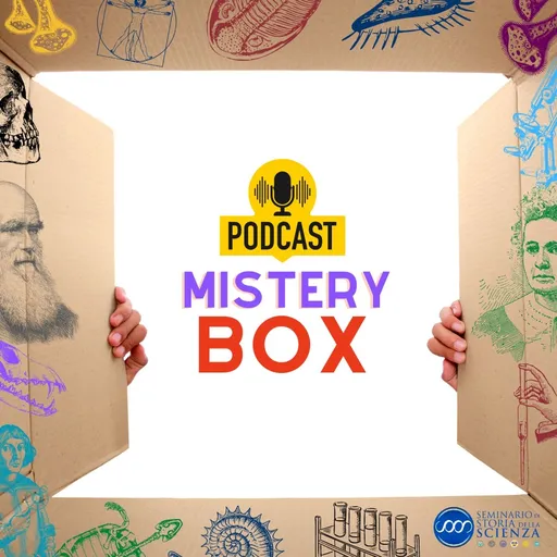 Mistery box Artwork