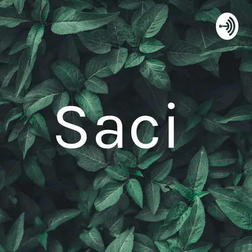 Saci Artwork
