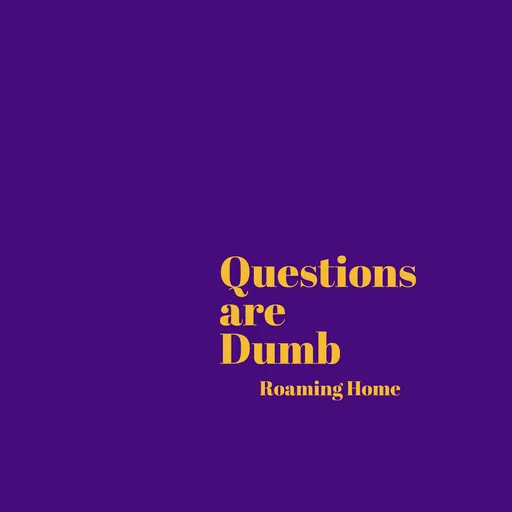 Dumb Question - A New Home Artwork
