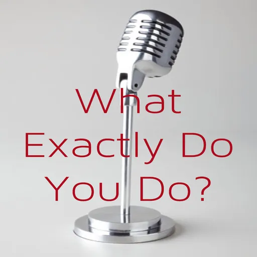 What Exactly Do You Do? Artwork