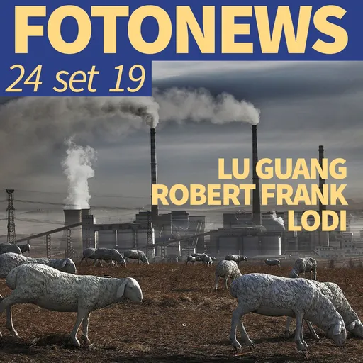 Episode Artwork