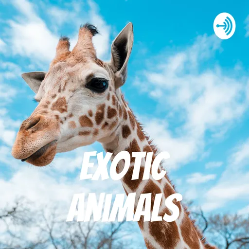Exotic animals Artwork