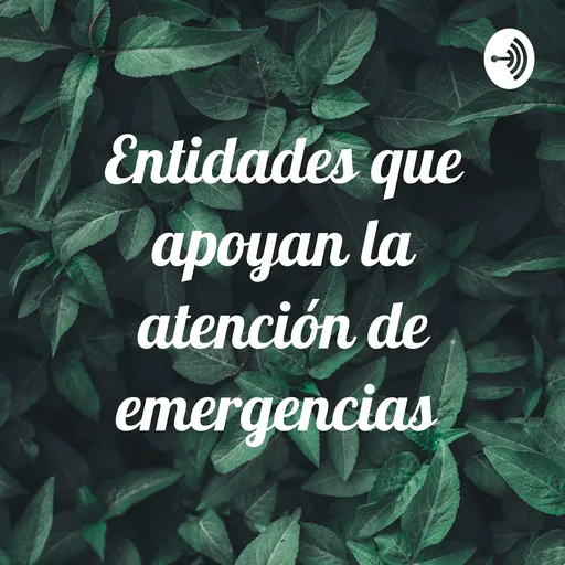 Entidades que apoyan la atención de emergencias Artwork
