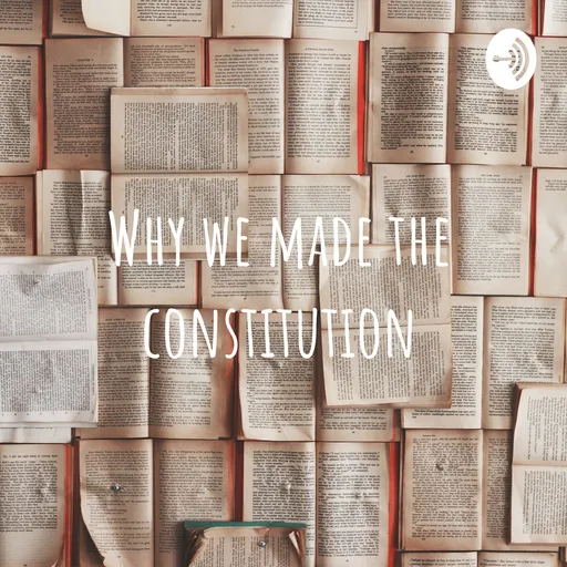Why we made the constitution Artwork