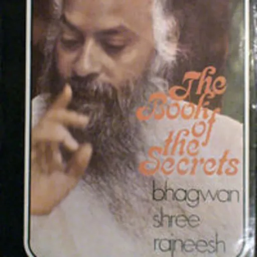 EL LIBRO DE LOS SECRETOS 2. OSHO Artwork