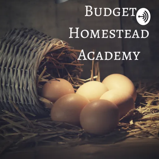 Budget Homestead Academy Artwork