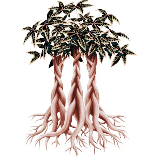 Money Trees with Khufu Artwork