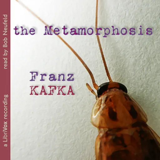 Metamorphosis (version 3), The by Franz Kafka (1883 - 1924) Artwork