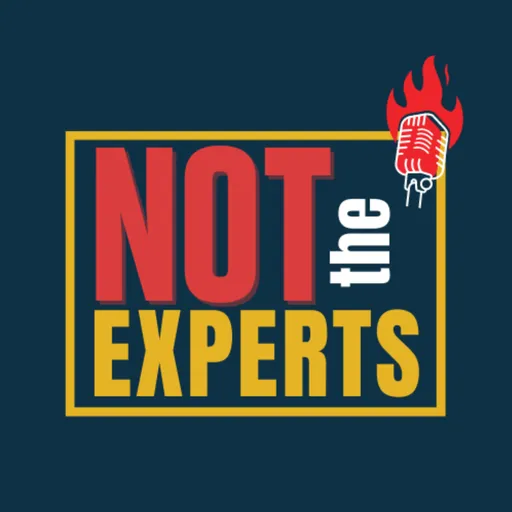 Not The Experts Artwork