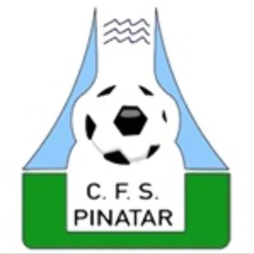 Zambú CFS Pinatar Artwork