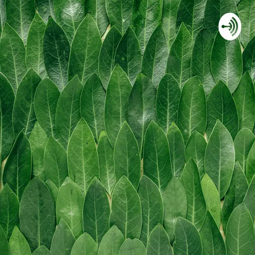 Podcast De João Pedro Artwork