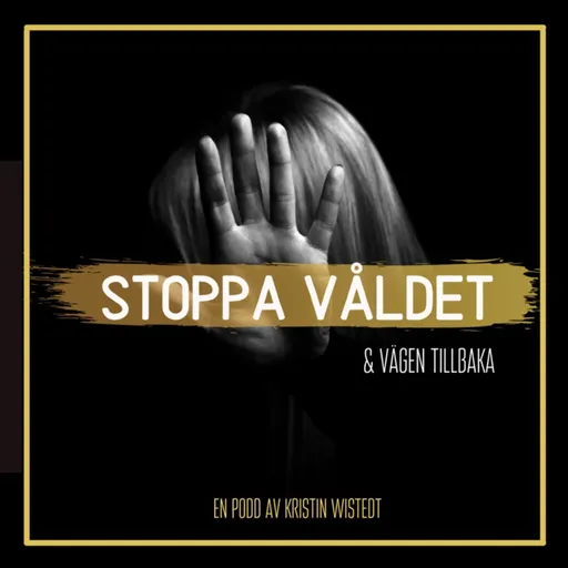 Stoppa våldet &amp; vägen tillbaka Artwork