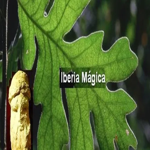 Iberia Mágica Artwork