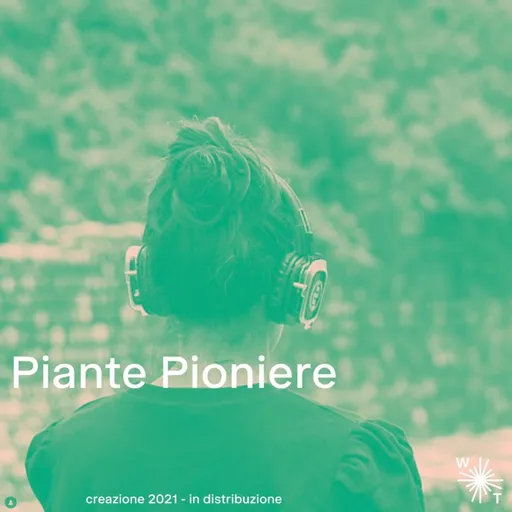 Piante Pioniere Artwork