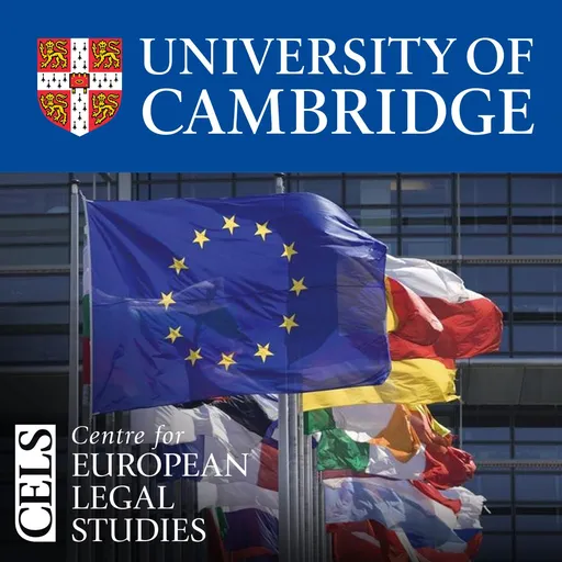 'Interpretive Twists, Argumentative Turns, and New Reference Points: Unpacking the Jurisprudential Shift in the European Citizenship Jurisprudence' - Urška Šadl: CELS Seminar Artwork