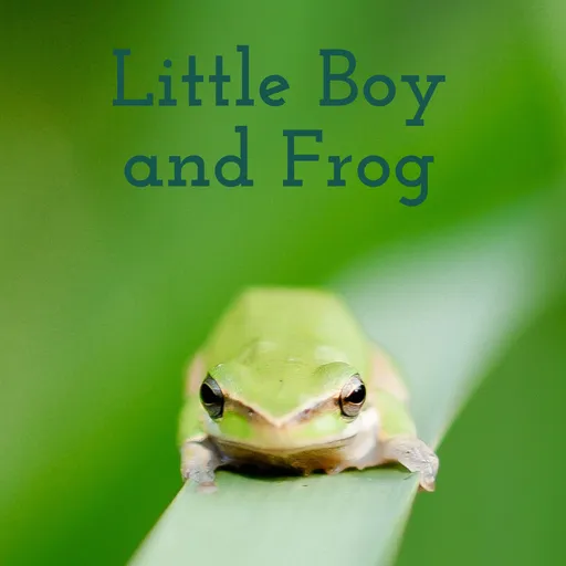 Little Boy and Frog: bedtime stories for kids Artwork