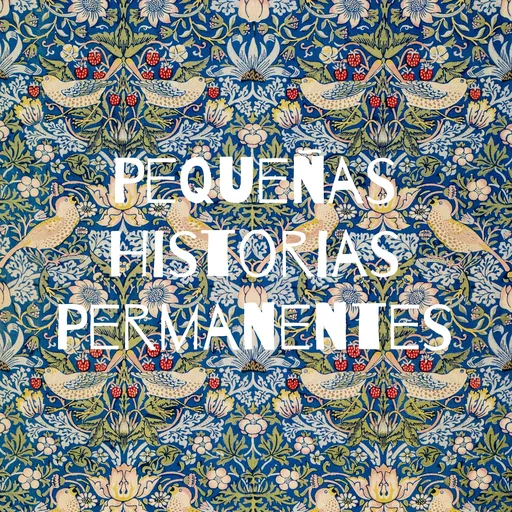Pequeñas Historias Permanentes Artwork