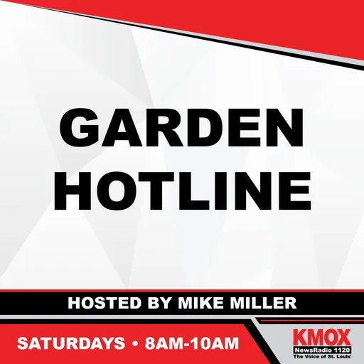 Garden Hotline Artwork