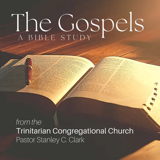 Through the Gospels ~ A Bible Study Artwork