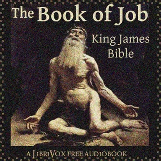 Bible (KJV) 18: Job (version 3) by King James Version (KJV) Artwork