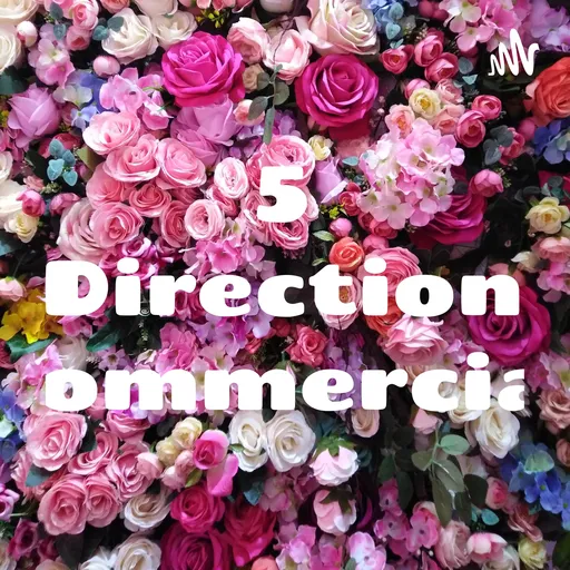 5 Direction Commercial Artwork