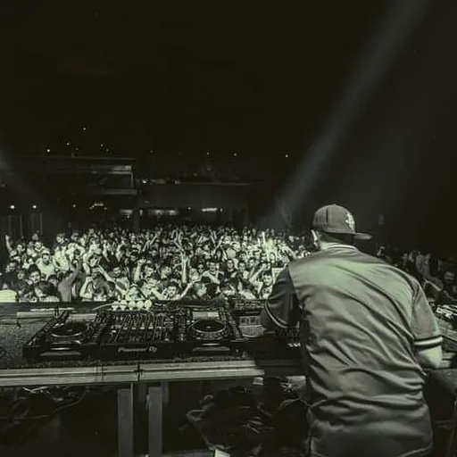 IND Artwork