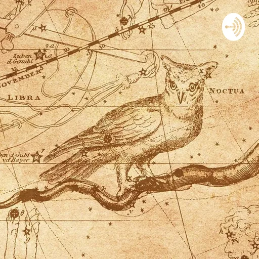 Zwischen Eulenkacke und Briefpapier Artwork