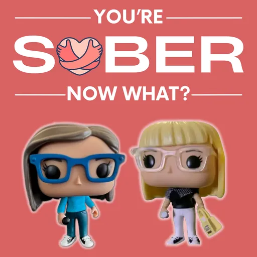 You're Sober, Now What? Artwork