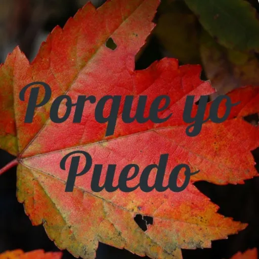 Porque yo Puedo Artwork