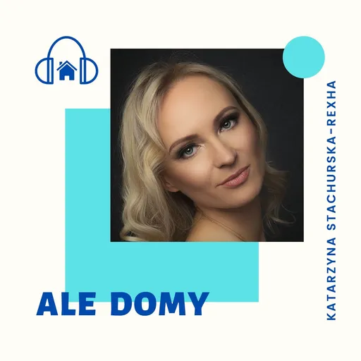 Ale Domy Artwork