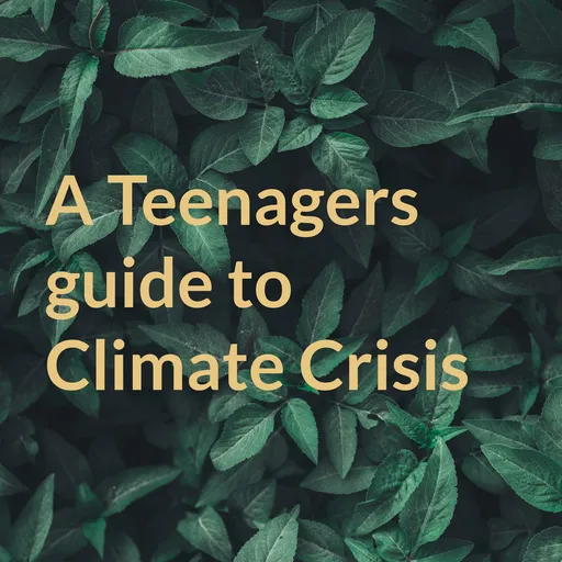 A Teenagers guide to Climate Crisis Artwork