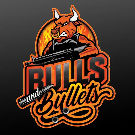 Bulls & Bullets Artwork