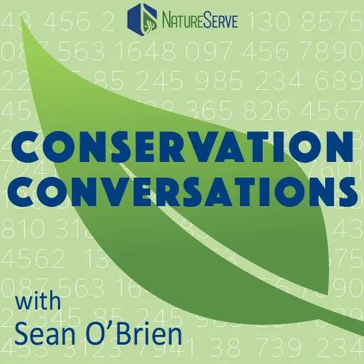 Conservation Conversations with Sean O'Brien Artwork