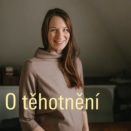 O těhotnění Artwork