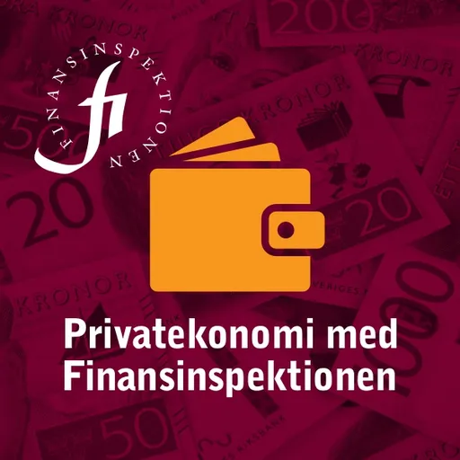 Privatekonomi med Finansinspektionen Artwork