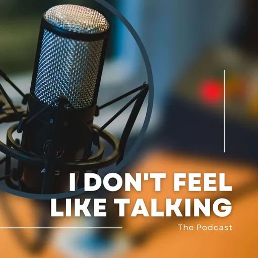 I Don't Feel Like Talking Artwork