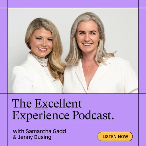 The Excellent Experience Artwork